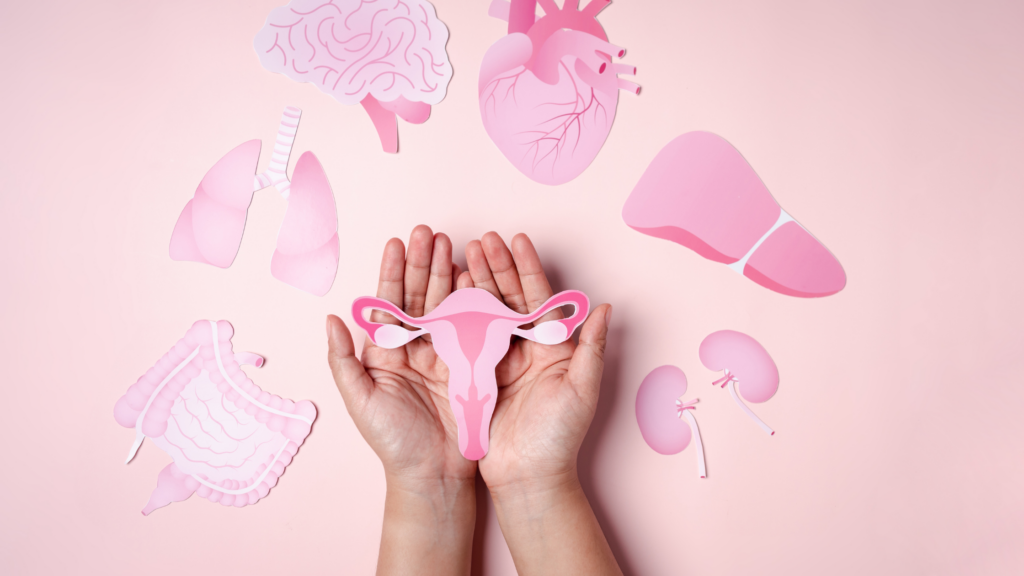 Reposição Hormonal na Menopausa o que a Telemedicina Pode Orientar