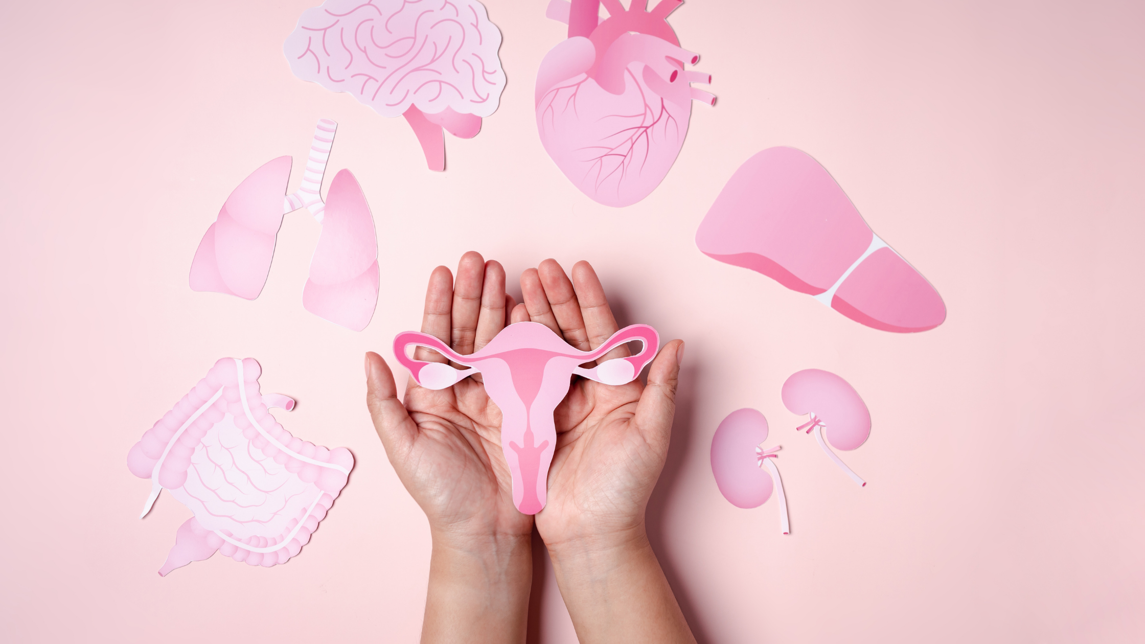 Reposição Hormonal na Menopausa o que a Telemedicina Pode Orientar